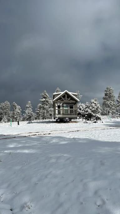 Cabins With A Mountain View 4A Williams Exterior photo